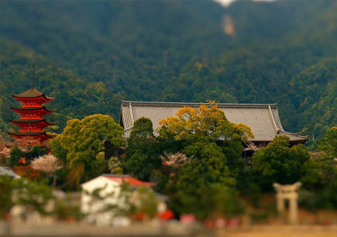 召開(kāi)南京益夫慶祝新年晚會(huì)-2018.2.2